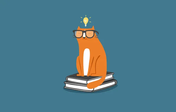 Кошка, кот, лампочка, книги, минимализм, очки, cat, учебники