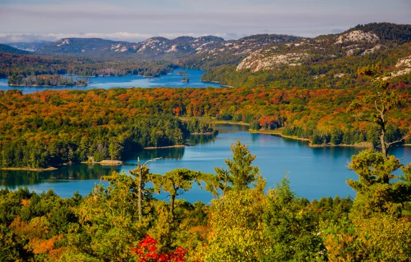 Осень, лес, небо, горы, озеро
