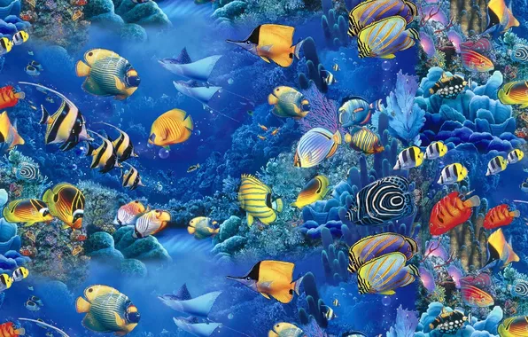 Море, рыбки, голубое, аквариум, красиво, Lassen, Christian Riese