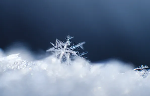 Картинка кристалл, макро, снег, узор, снежинка