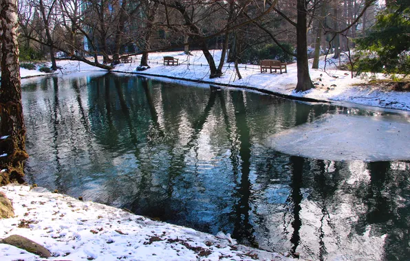 Park, winter, lake, pond