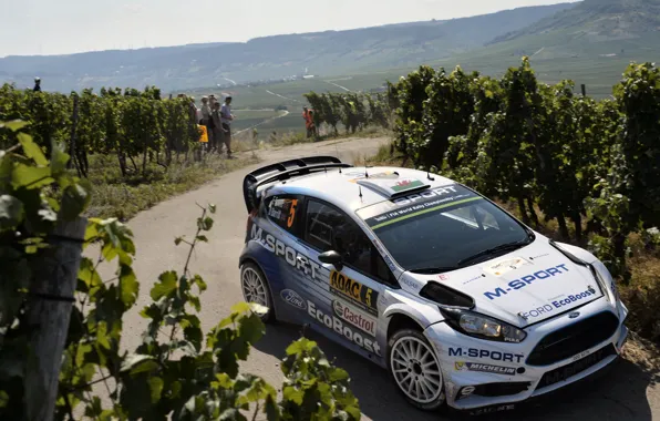 Ford, Форд, Germany, WRC, Fiesta, Elfyn Evans, Виноградники