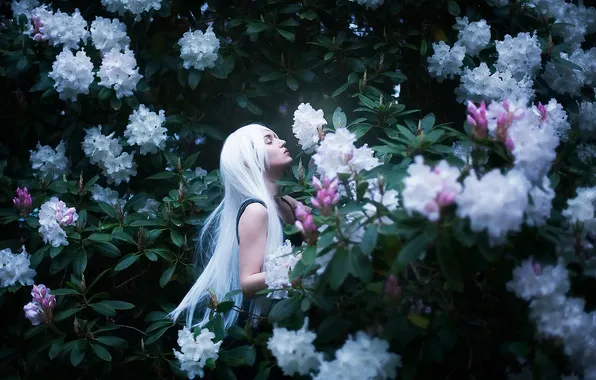 Картинка цветы, настроение, белые волосы, рододендроны, Maria Elige Aliaeva