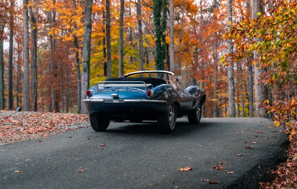 Картинка Jaguar, 1957, rear view, XKSS, Jaguar XKSS