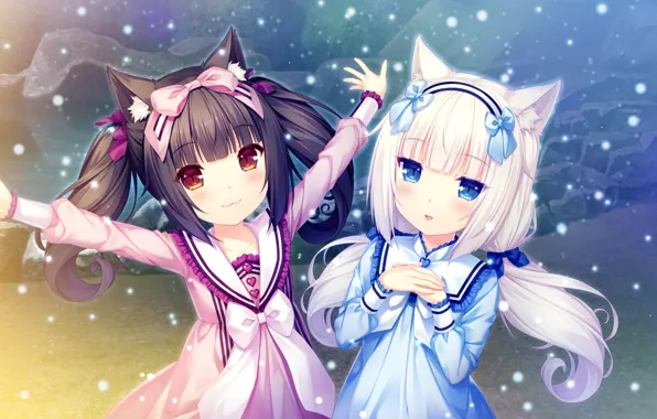 Девочки, Nekopara, Кошечки