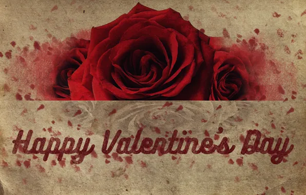 Red, love, rose, flower, valentine's day, valentine, happy valentine's day