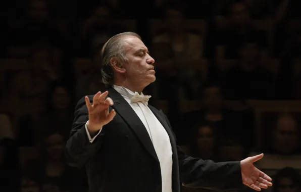 Картинка дирижёр, Мариинский театр, Валерий Гергиев, Valery Gergiev