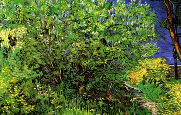 Картинка трава, куст, Vincent van Gogh, Lilacs