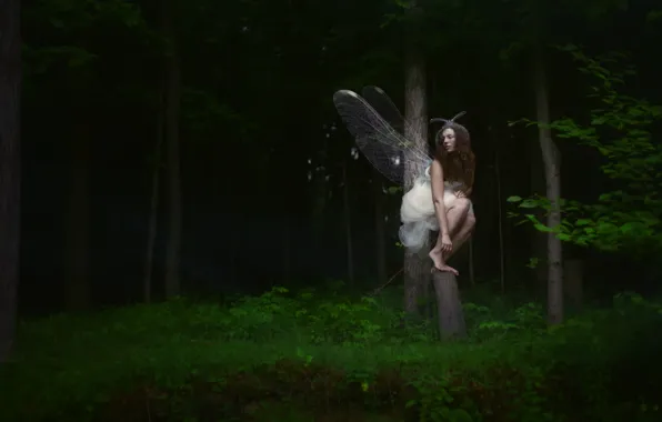 Картинка лес, девушка, бабочка