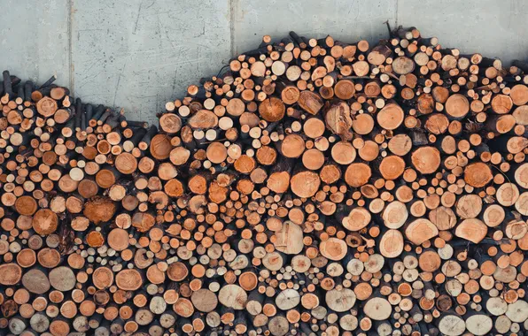Wood, pile, firewood
