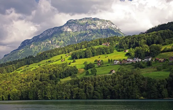 Зелень, деревья, горы, озеро, дома, Швейцария, склон, Lake Lucerne