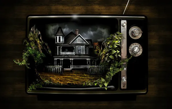 Картинка дом, растения, странно, Телевизор
