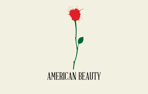 Цветок, минимализм, Красота по-американски
