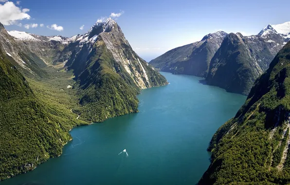 Картинка лес, горы, озеро, Новая Зеландия, национальный парк