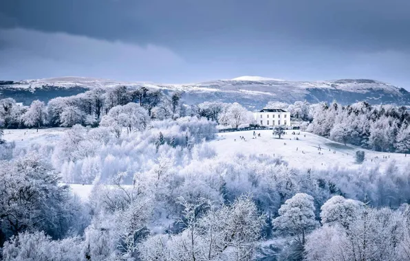 Зима, снег, дом, парк, Северная Ирландия, Белфаст, Barnett Demesne Park