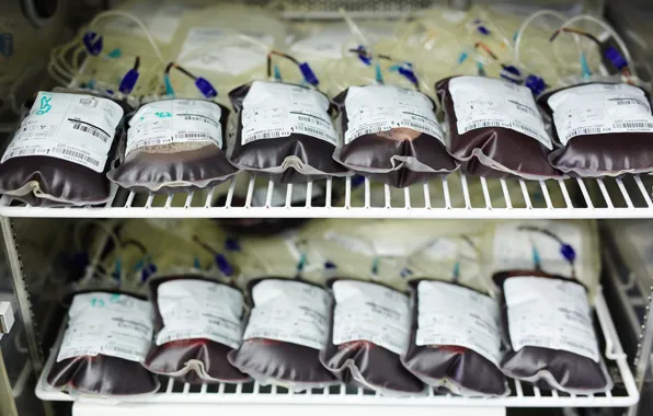 Blood, refrigerator, blood transfusions