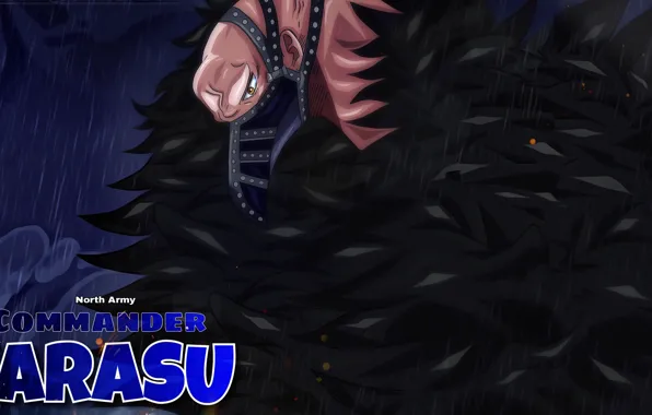 One Piece, anime, asian, manga, oriental, asiatic, japonese