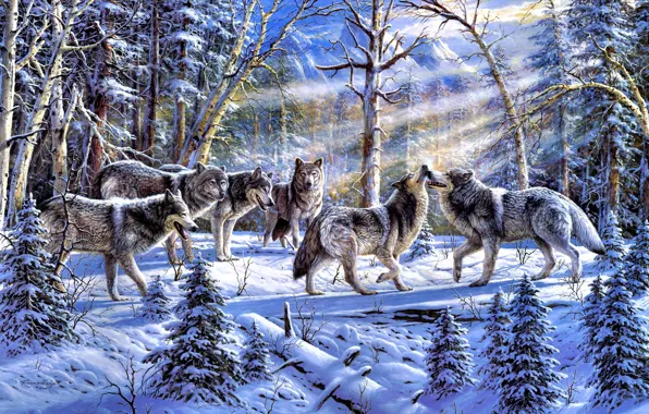Картинка зима, лес, животные, природа, ель, стая, волки, живопись