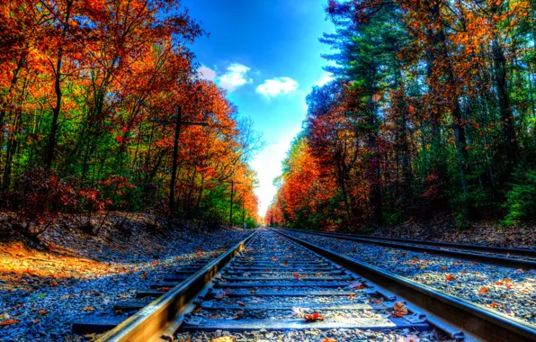 Картинка осень, деревья, листва, рельсы, железная дорога, шпалы
