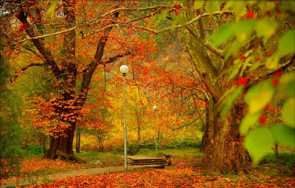 Картинка деревья, Осень, фонари, дорожка, Парк, Fall, Листва, Park