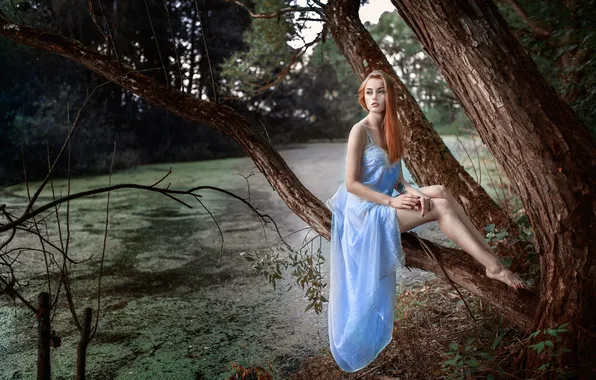 Картинка девушка, природа, пруд, рыжая, красивая, сидит, на дереве, в лесу