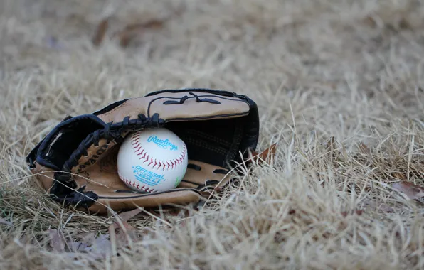 Картинка спорт, мяч, перчатка, baseball