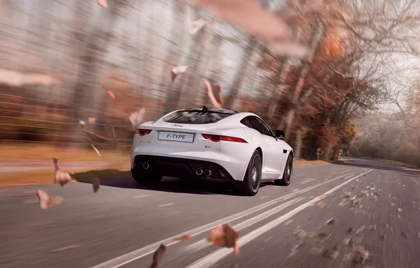 Jaguar, Car, Speed, Coupe, White, Sport, F-Type, Rear