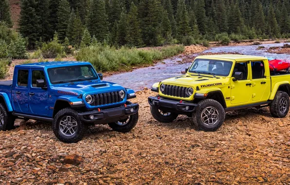 Картинка car, Gladiator, Jeep, pickup truck, Jeep Gladiator, mid-size