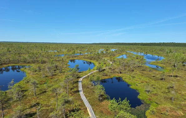 Картинка Parks in Latvia, Ķemeru Nacionālais parks, Nature in Latvia wallpaper, Ķemeri National Park, Ķemeru Nacionālais …