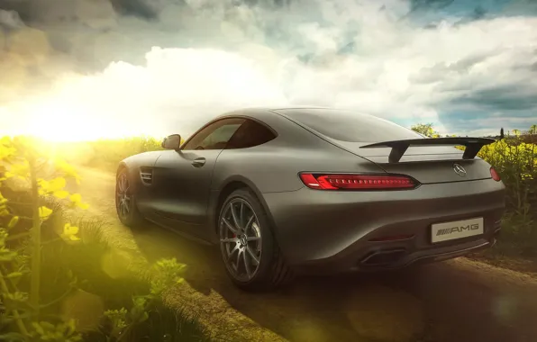 Картинка Mercedes-Benz, AMG, Sun, Day, Supercar, Rear, 2015, GT S