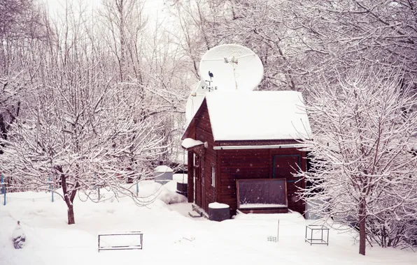 Картинка зима, снег, деревья, природа, дом, двор, домик