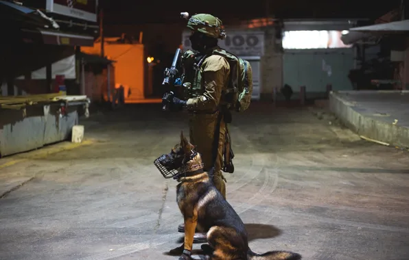 Обои собака, солдат, автомат, форма, служба на телефон и рабочий стол,  раздел мужчины, разрешение 2048x1367 - скачать