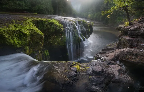 Лес, река, камень, водопад, водопадик