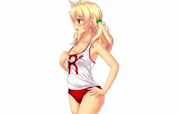 Girl, sexy, cleavage, shorts, long hair, boobs, animal ears, anime