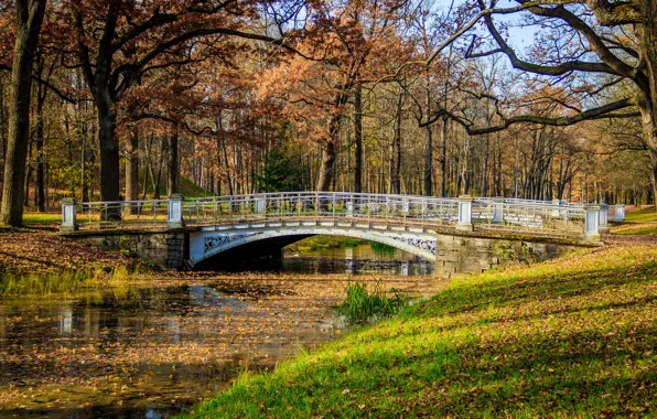 Осень, листья, деревья, мост, парк, река, colorful, river