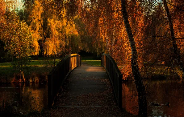 Картинка осень, мост, пруд, парк, утки