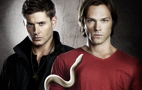 Обои Змея, Сериал, Sam, Сверхъестественное, Dean, Сэм.