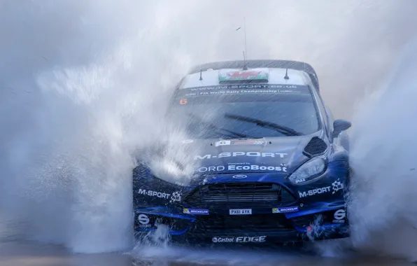 Картинка Ford, Вода, Форд, Брызги, WRC, Rally, Fiesta, Фиеста