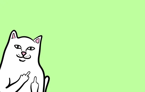 Картинка minimalism, cat, animal, ripndip