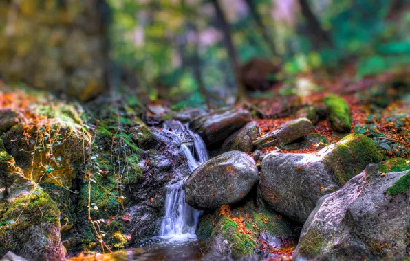 Картинка осень, лес, деревья, река, камни, скалы, поток, спецэффект
