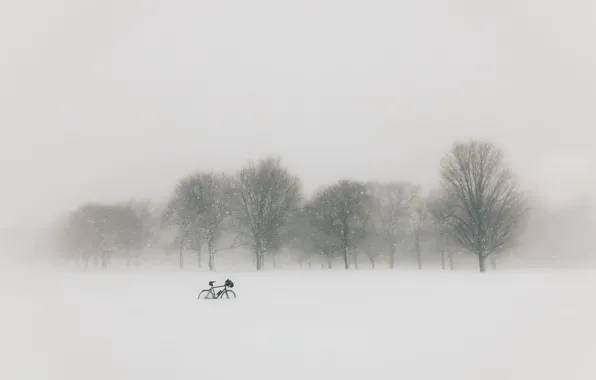 Картинка поле, снег, велосипед, туман