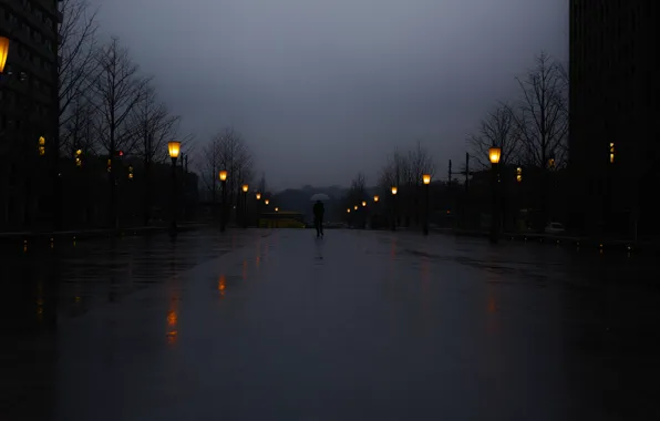 Картинка umbrella, square, man, lamps