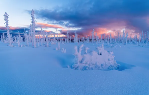 Картинка зима, снег, деревья, закат, Чехия, сугробы, Богемия, Czech Republic