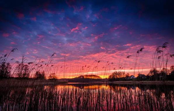 Картинка небо, трава, облака, деревья, закат, оранжевый, озеро, отражение