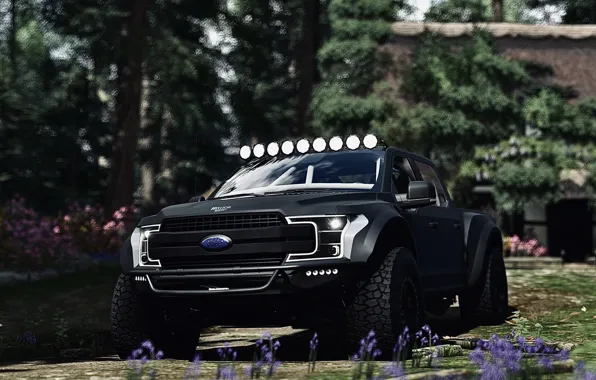 HDR, Ford, House, Wood, Flower, Spring, Game, F-150