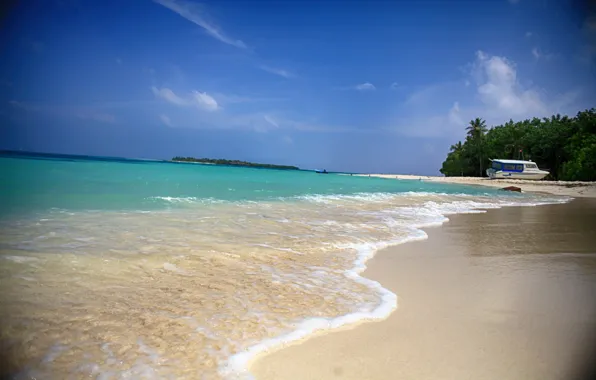 Картинка море, пляж, вода, природа, пальмы, красота