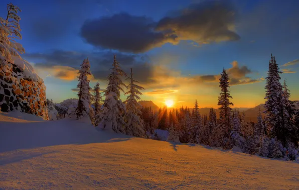 Картинка зима, лес, небо, облака, снег, закат, природа, елки