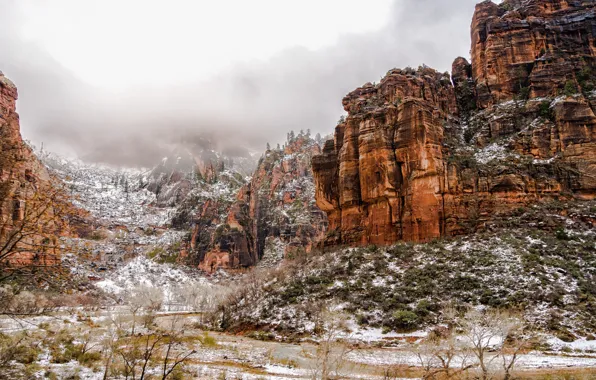 Скалы, каньон, Zion National Park, Utah