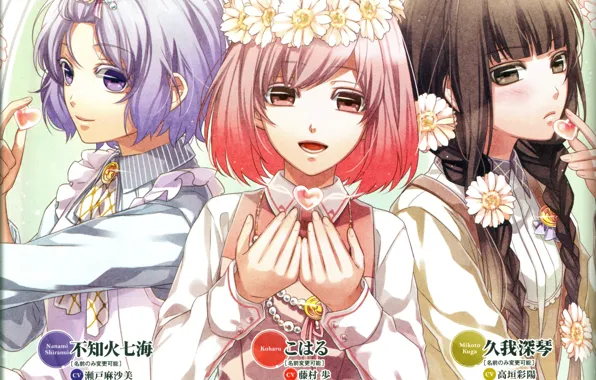 Ромашки, иероглифы, сердечки, косички, венок, подруги, mikoto kuga, NORN9
