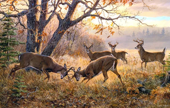 Картинка осень, животные, пасмурно, ситуация, живопись, олени, поединок, Persis Clayton Weirs
